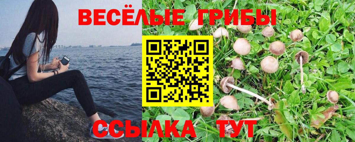 Псилоцибиновые грибы Magic Shrooms Ковров